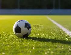 米塔,揭秘独特魅,她为何如此,MK体育官方入口,MK体育入口,MK体育共享联赛,MK体育官方网站