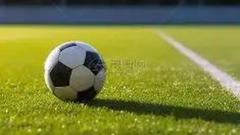 《米塔：揭秘独特魅力，她为何如此与众不同？》